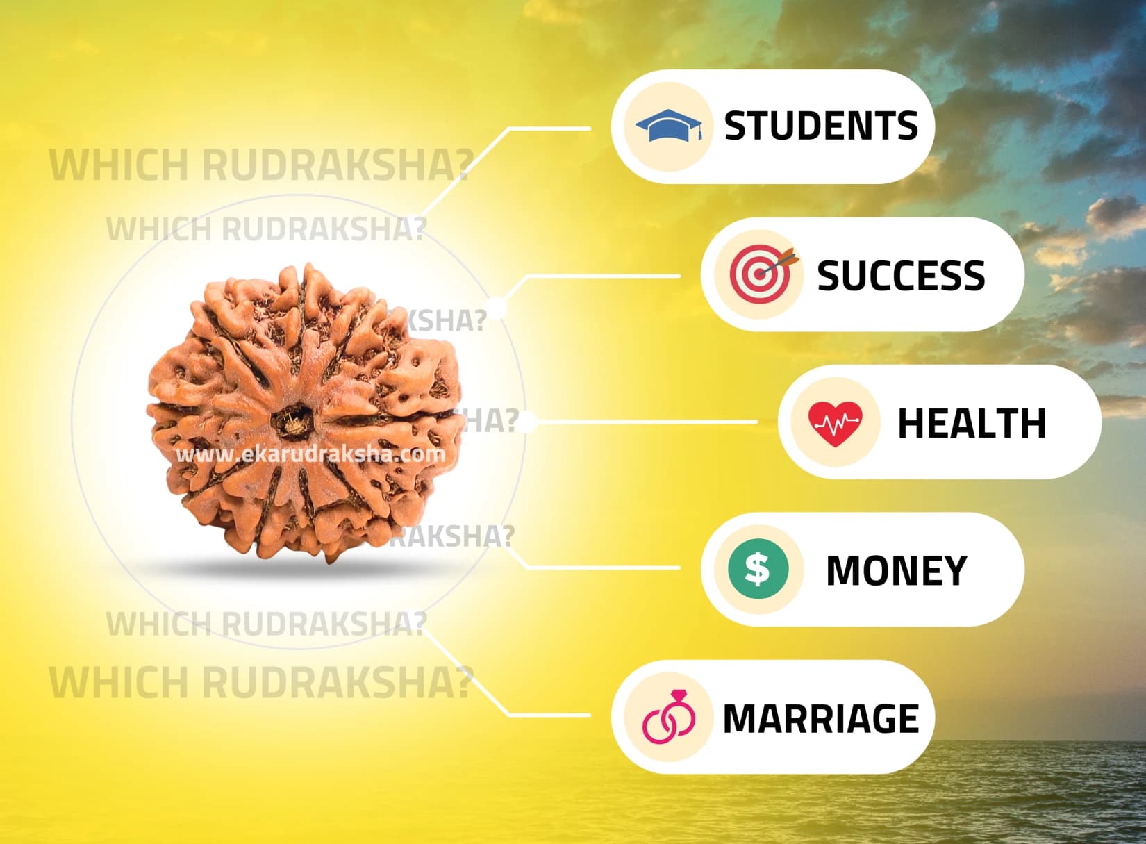 How to Choose the Right Rudraksha for Yourself?