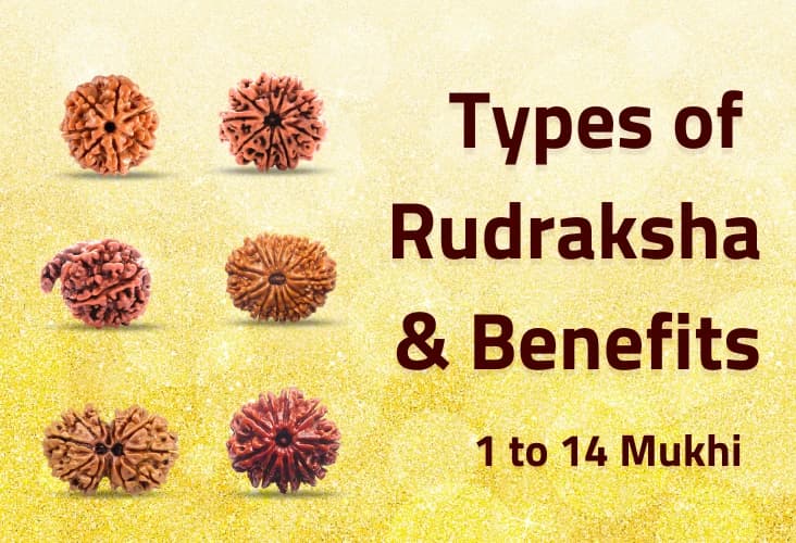 Different Types of Rudraksha and Their Significance